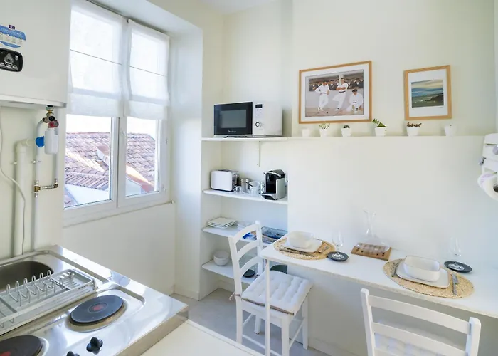 Agreable Et Lumineux Biarritz